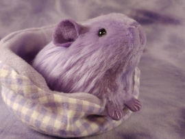Little Lavender Guinea Pig Plushie