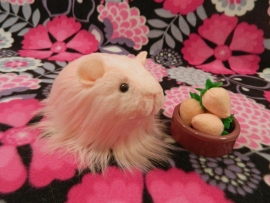 Little Pink Longhaired Guinea Pig Plushie