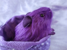 Little Violet Guinea Pig Plushie