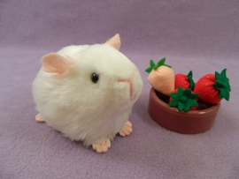 Little White Guinea Pig Plushie