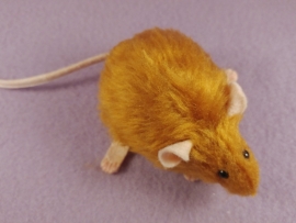 Chubby Ginger Mouse Plushie