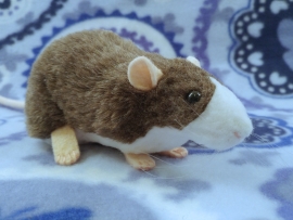 Mink Blazed Rat Plushie