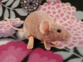 Pink Mouse Plushie