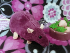 Plum Rat Plushie