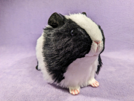 Big Black Dutch Guinea Pig Plushie