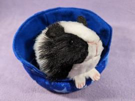 Little Black Dutch Guinea Pig Plushie
