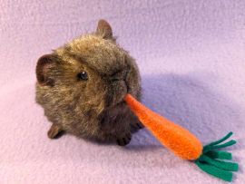Little Agouti Brown Guinea Pig Plushie