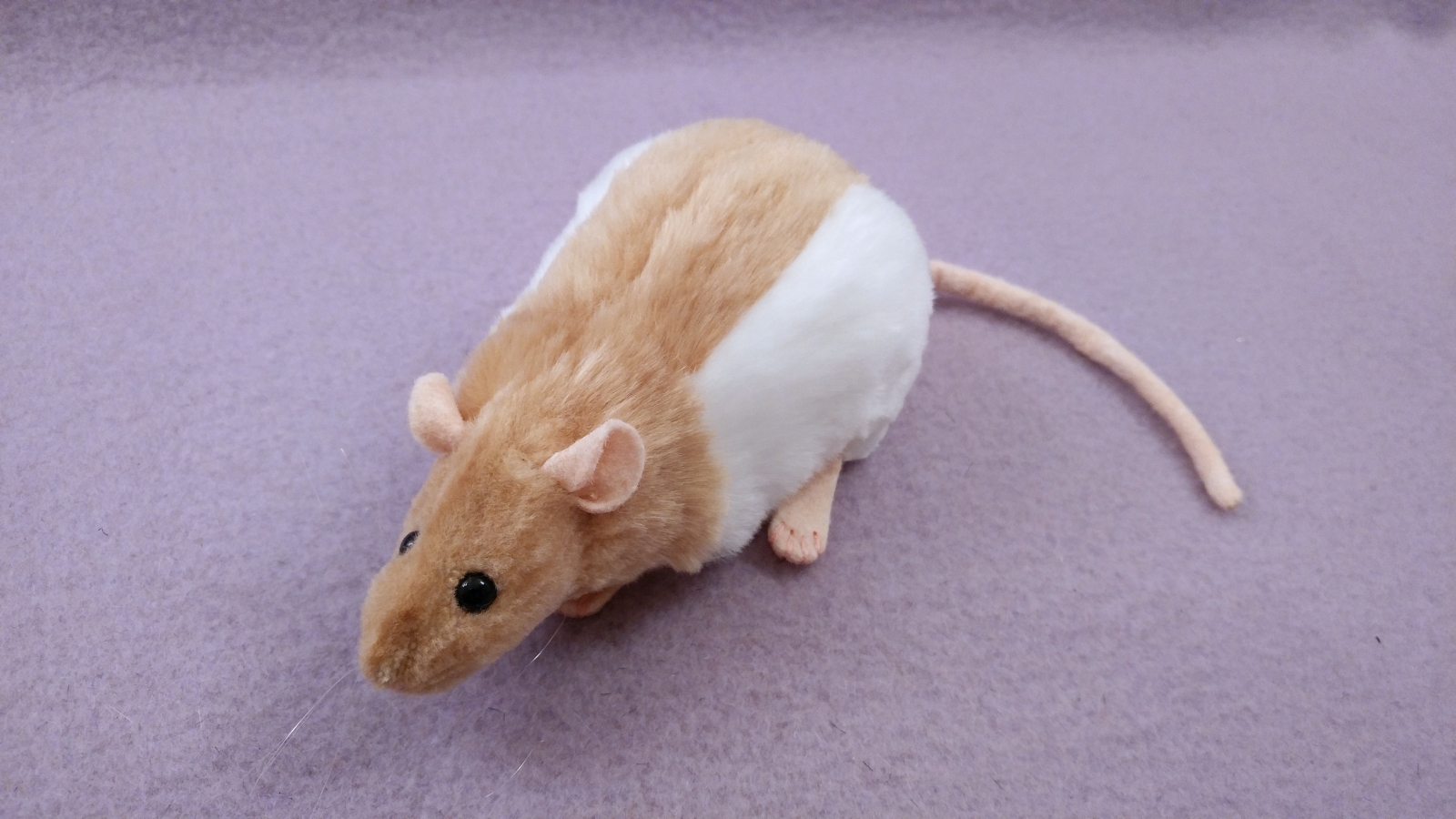 Hooded rat cheap