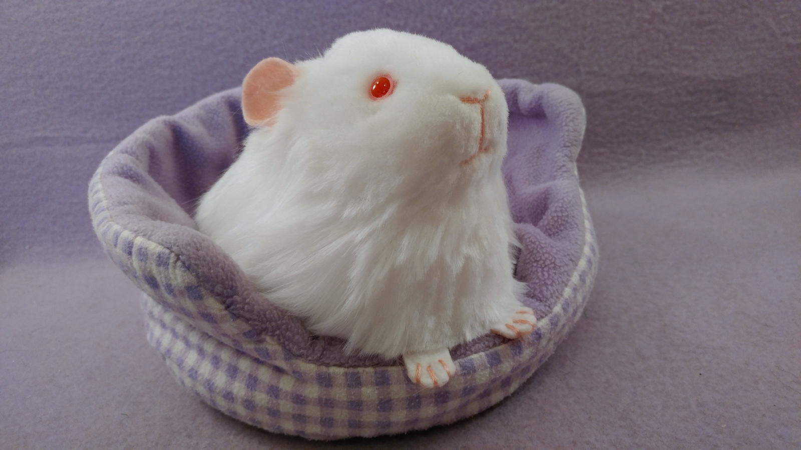 Stuffed guinea shop pig