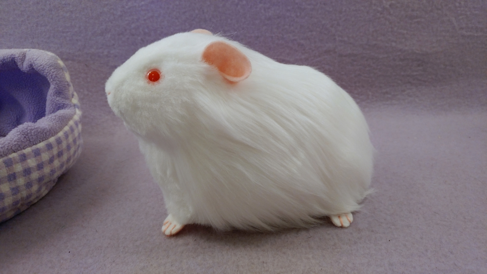Big White Guinea Pig Plushie | Citrine Mouse