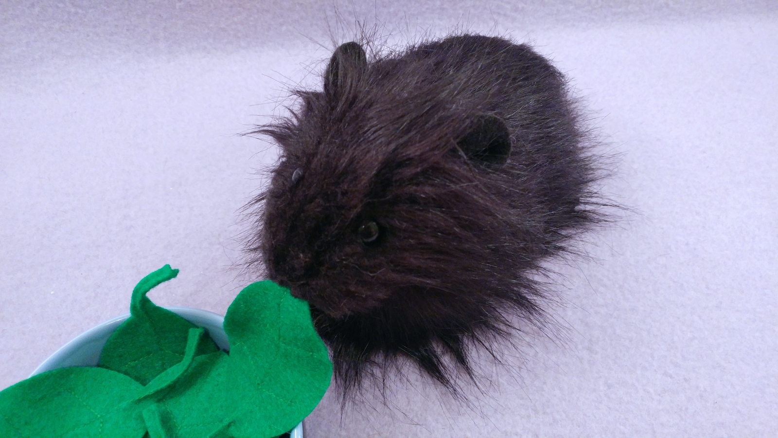 custom guinea pig plush