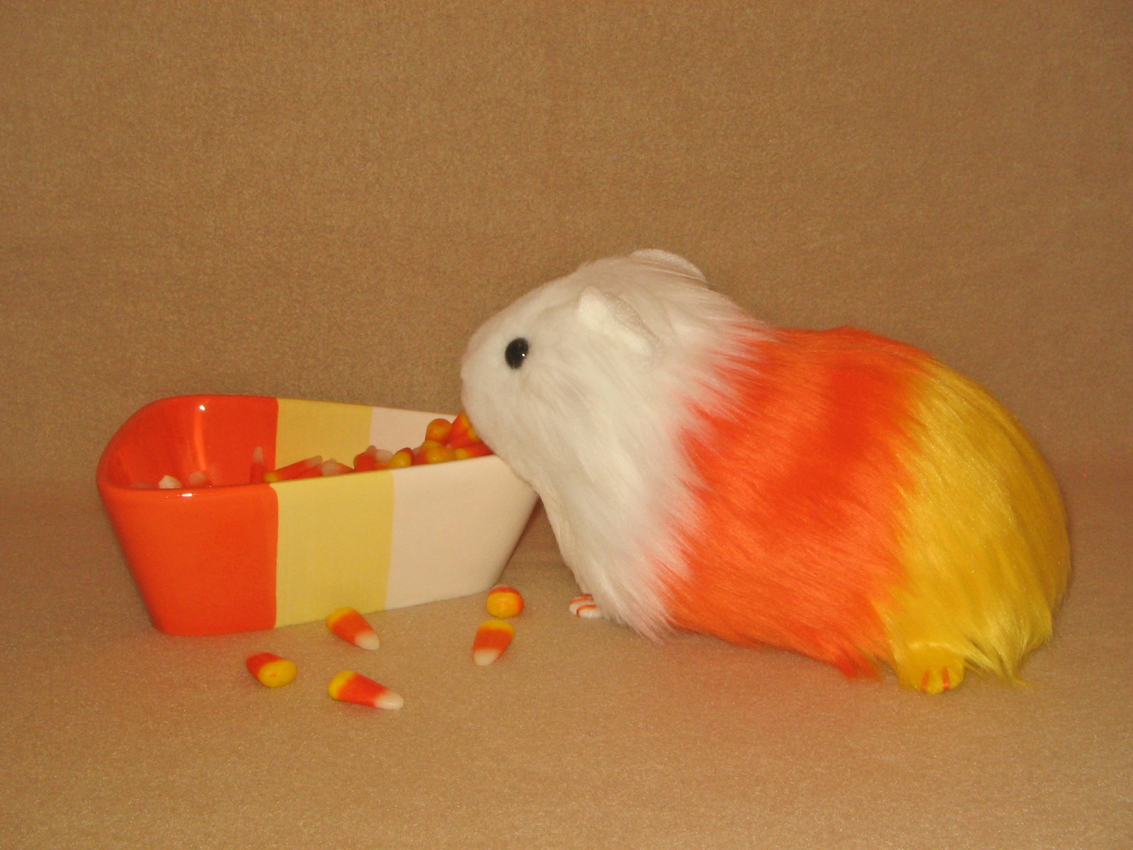 Guinea pigs discount corn
