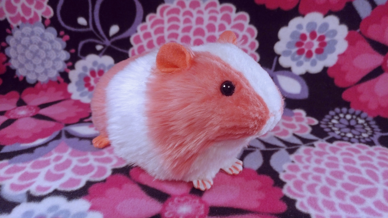 Pink guinea pig 2025