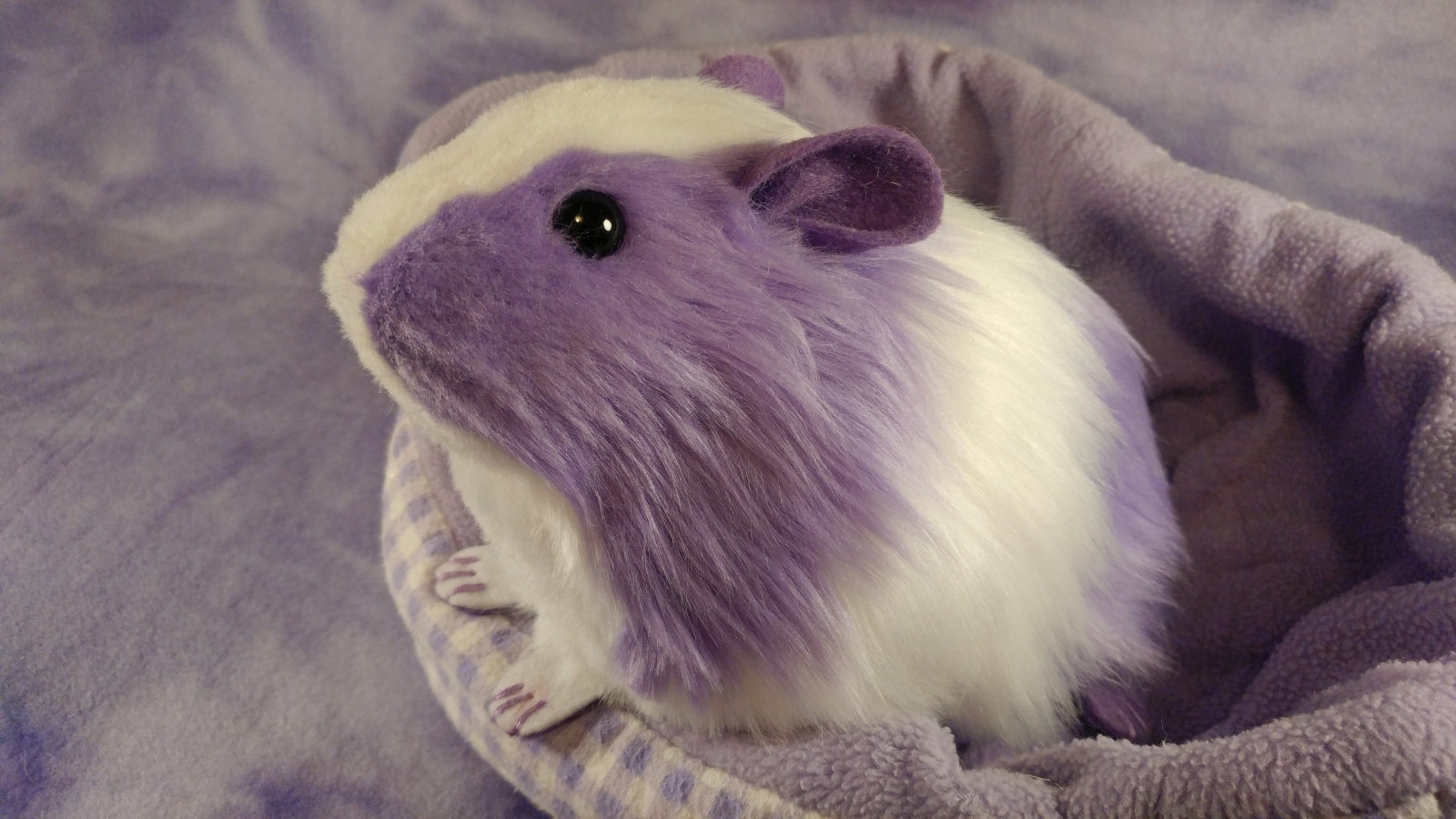 Big Lavender Dutch Guinea Pig Plushie Citrine Mouse