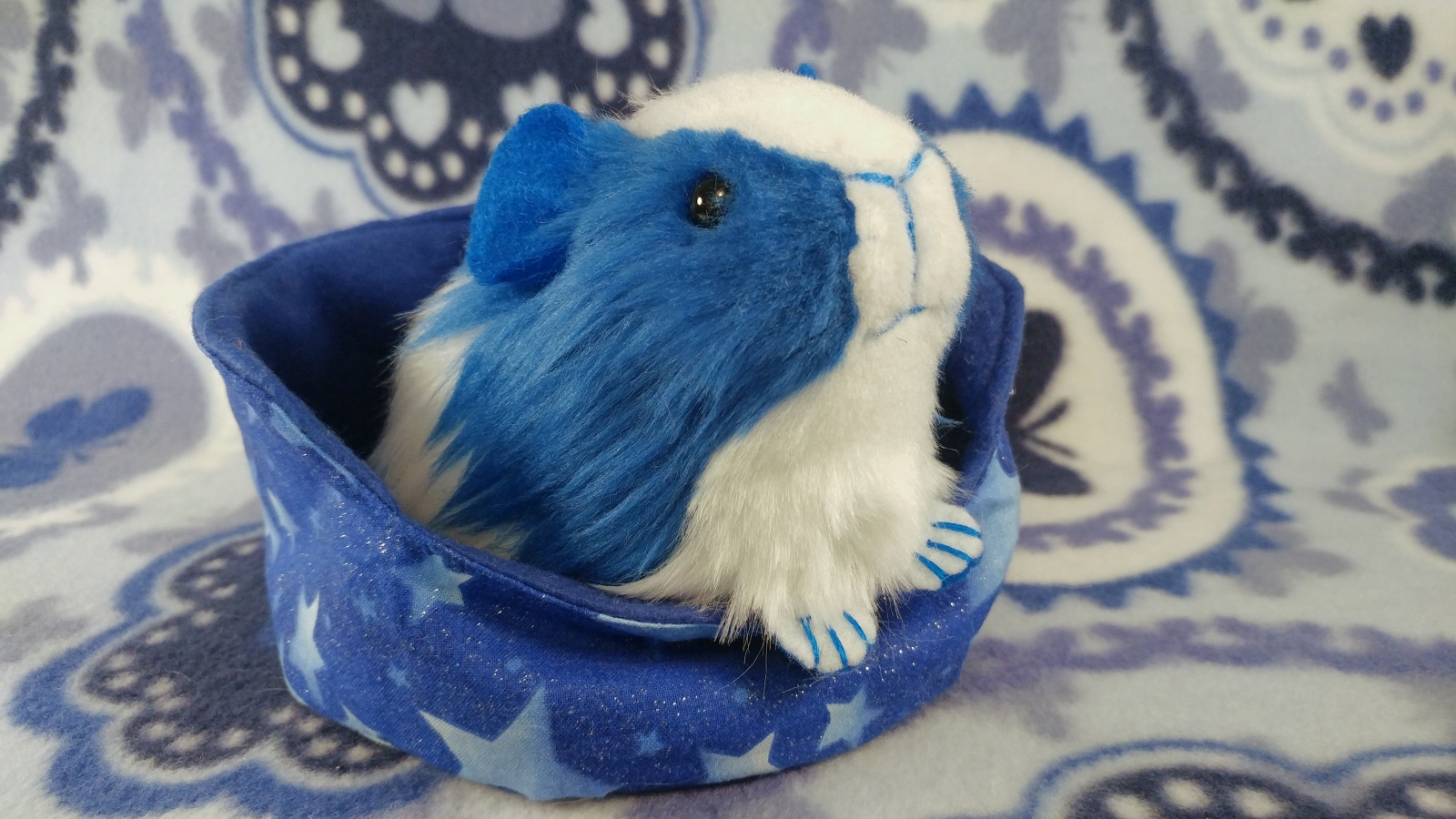 Textile store guinea pig