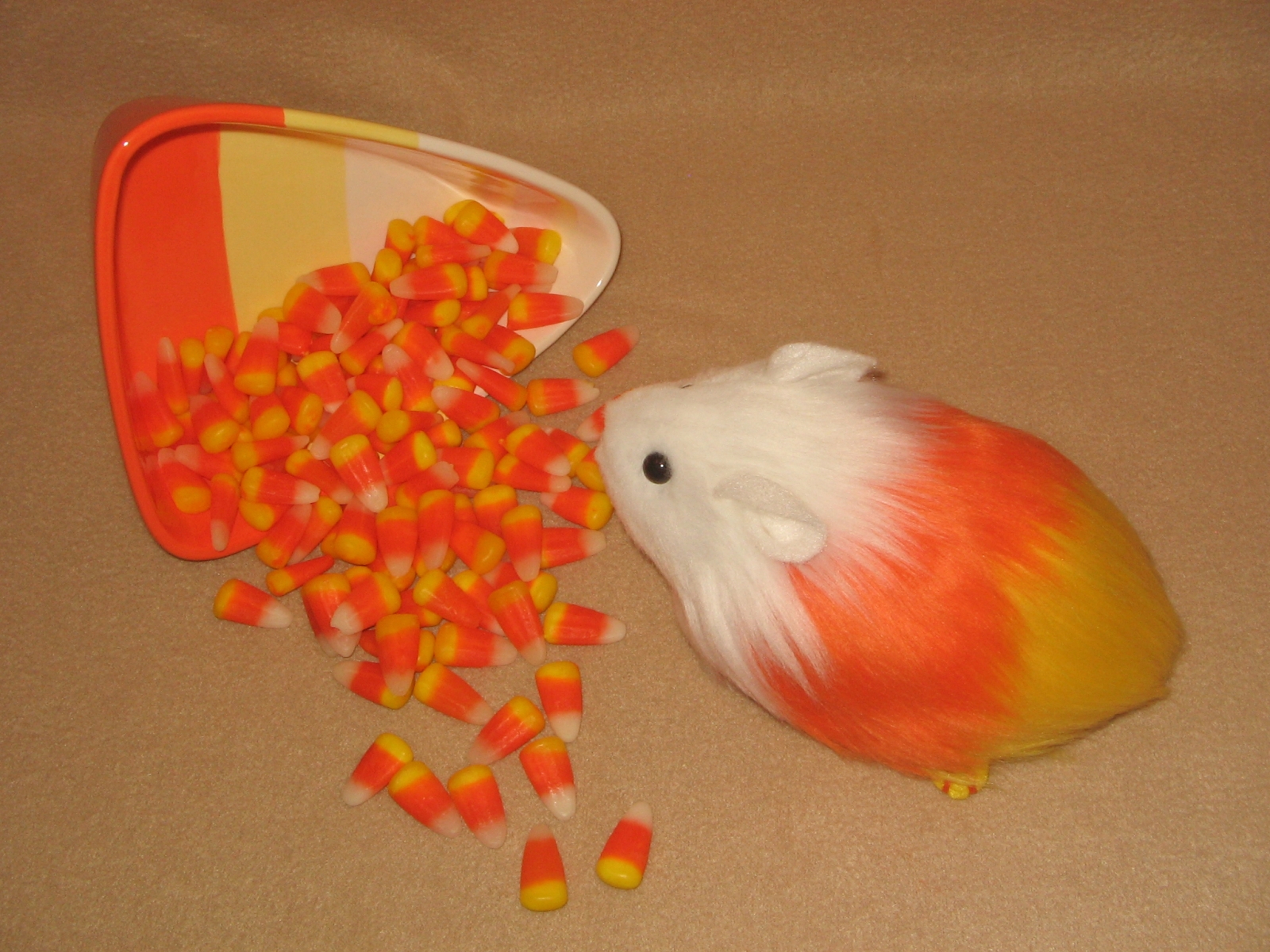 Guinea deals pigs corn