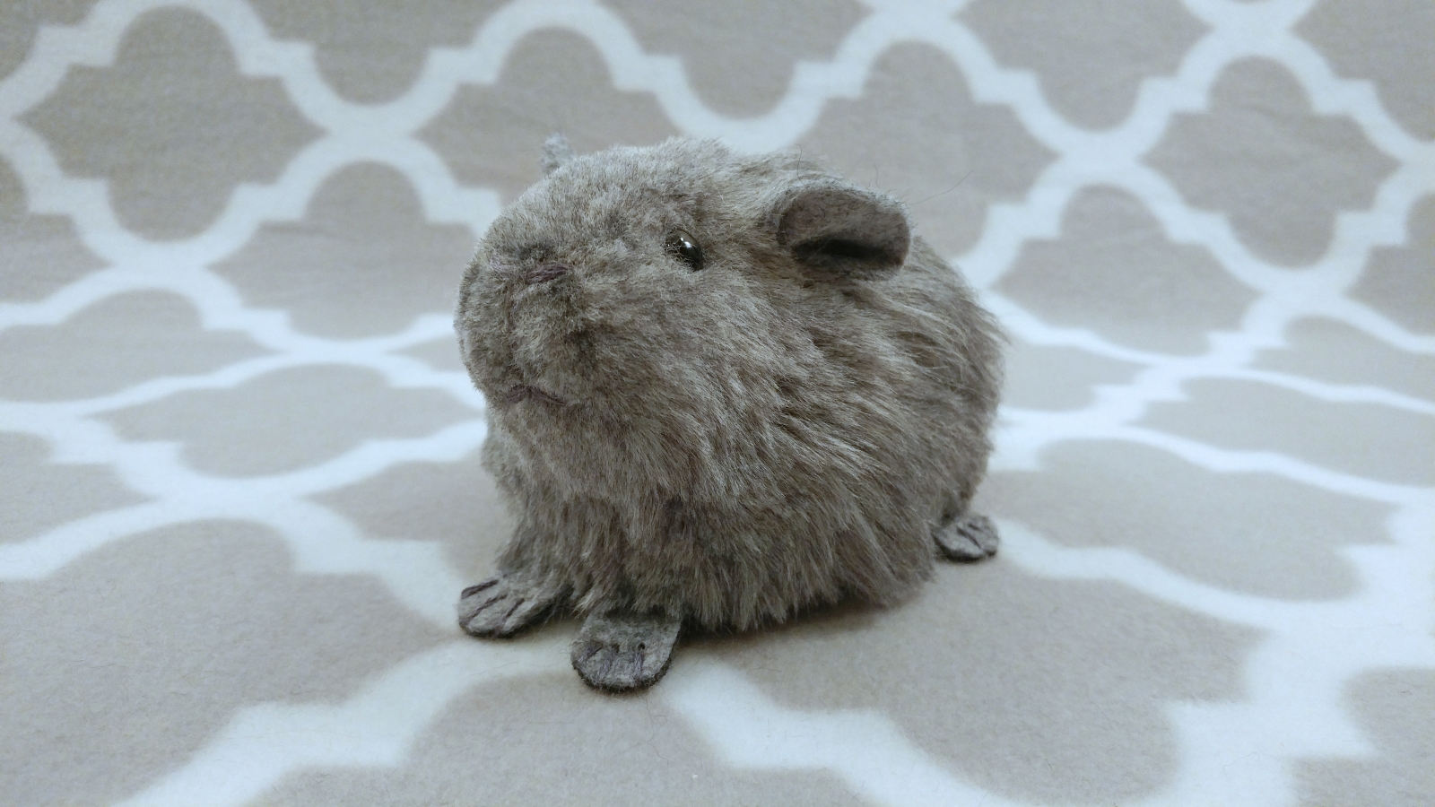 Grey teddy guinea pig sales