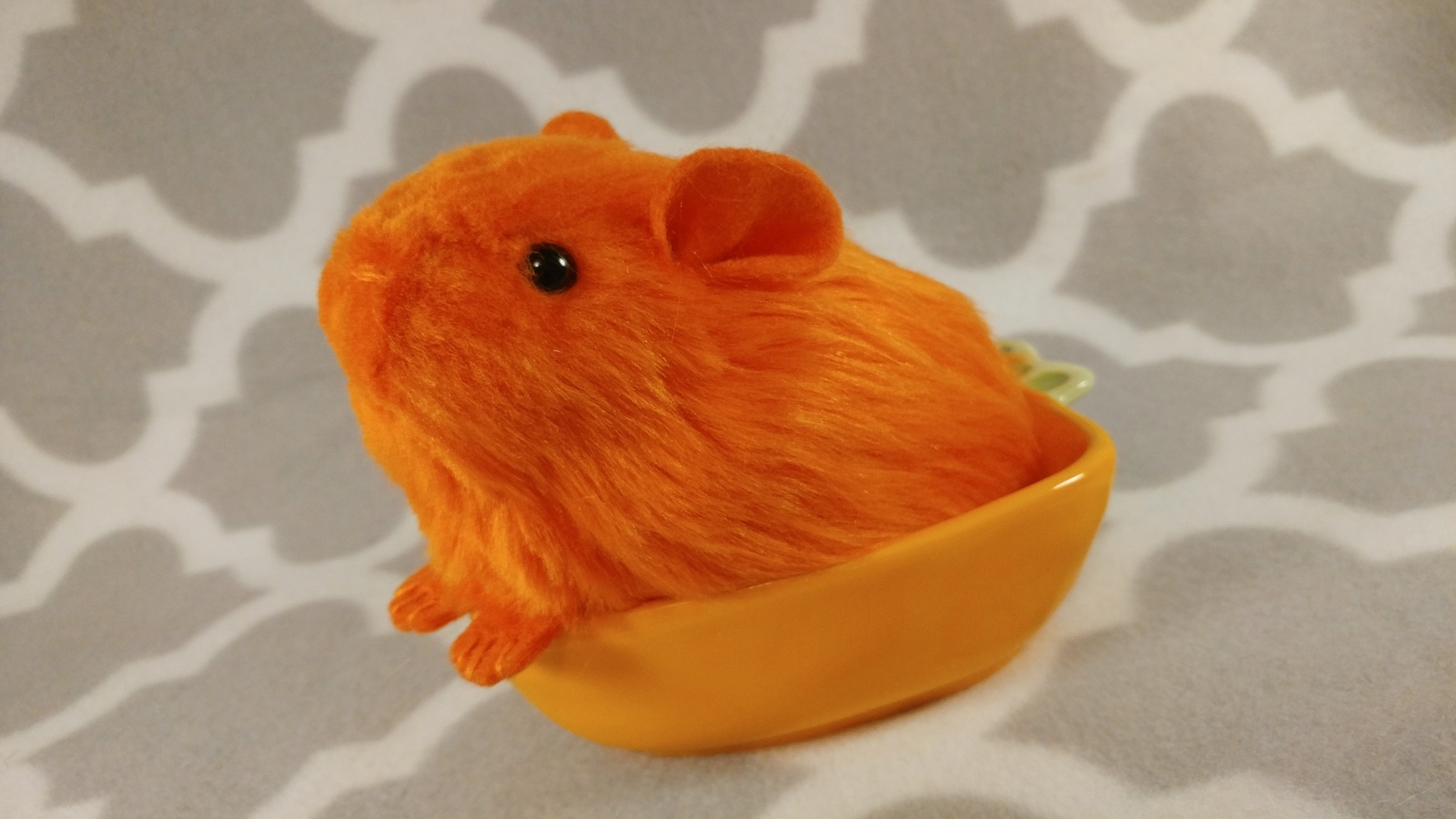 Can you give guinea pigs oranges on sale