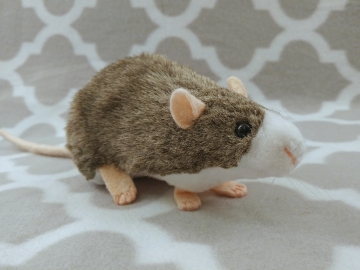 Agouti Grey Blazed Rat Plushie