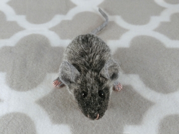 Agouti Grey Mouse Plushie
