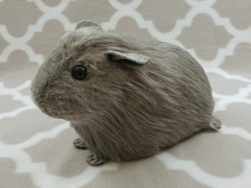Big Grey Guinea Pig Plushie