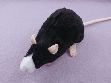 Black Blazed Rat Plushie