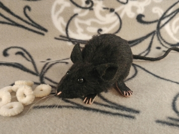 Black Mouse Plushie Black Mouse Plushie