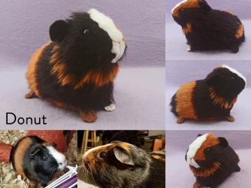 Donut