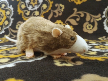 Light Brown Blazed Rat Plushie