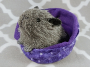 Little Agouti Grey Guinea Pig Plushie