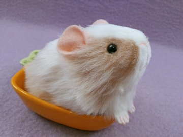Little Beige Dutch Guinea Pig Plushie