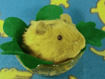 Little Pea Green Guinea Pig Plushie