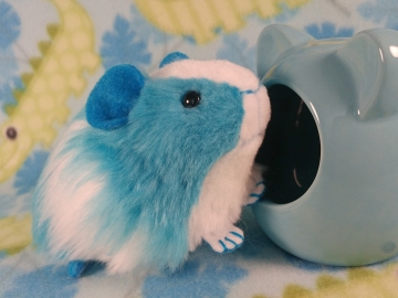 Little Turquoise Dutch Guinea Pig Plushie