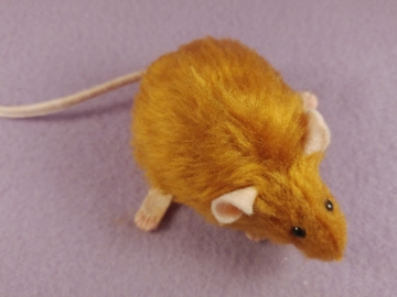 Chubby Ginger Mouse Plushie Chubby Ginger Mouse Plushie